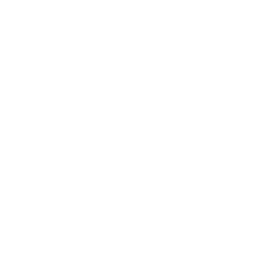 service client spa
